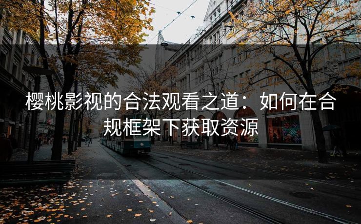 樱桃影视的合法观看之道：如何在合规框架下获取资源