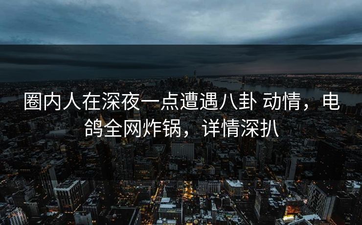 圈内人在深夜一点遭遇八卦 动情，电鸽全网炸锅，详情深扒